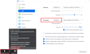Как выключить звук в зуме на компьютере